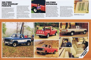 1981 Ford Pickup (Cdn)-10-11.jpg